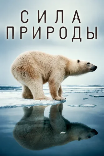 Сила природы (2026) смотреть онлайн