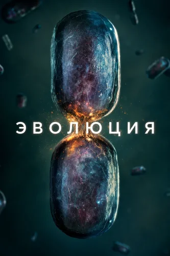 Эволюция